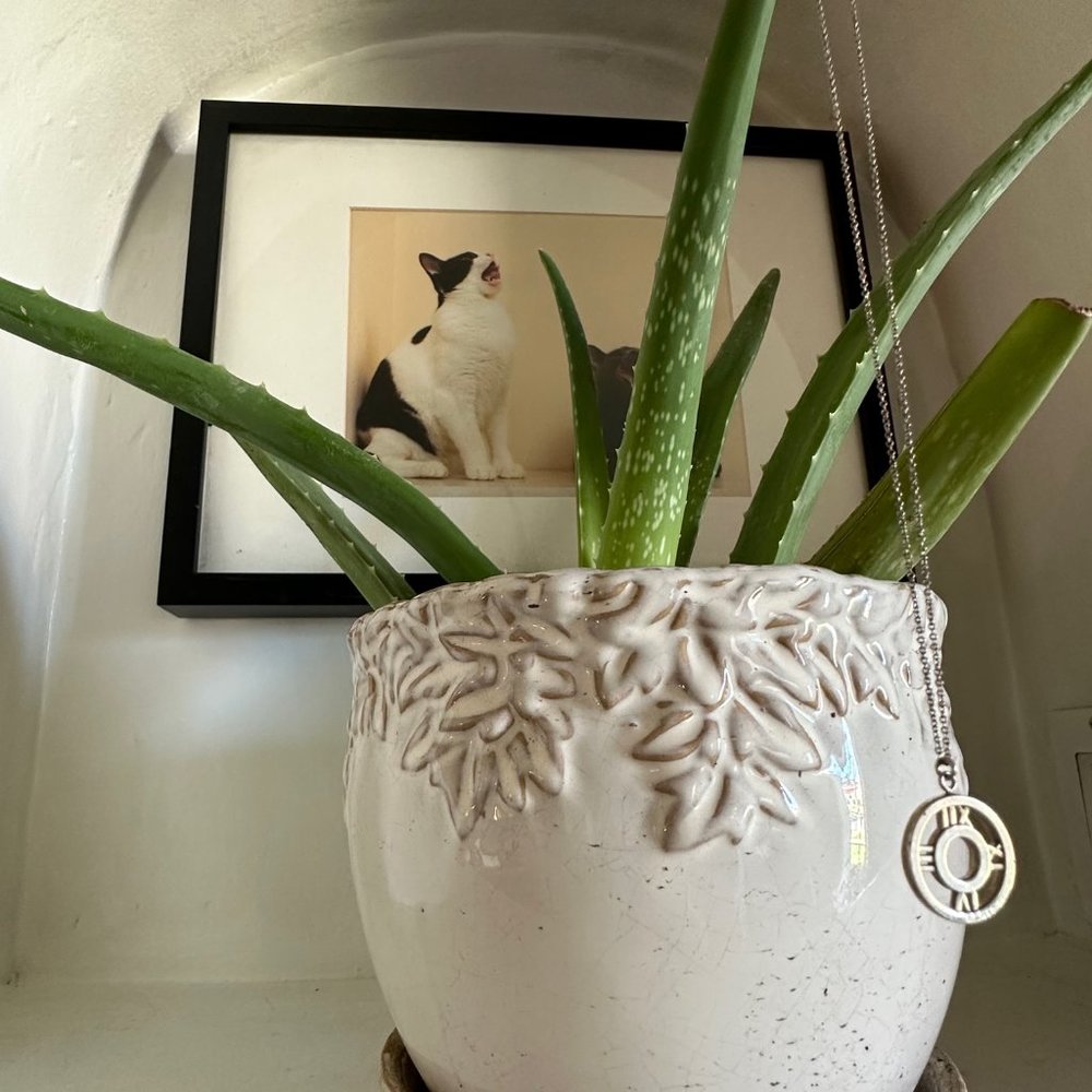 $425 Vintage Tiffany & Co Atlas Open Medallion Necklace (MSRP $660)